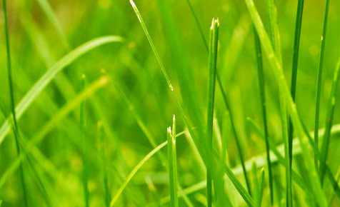 中国移动防电话轰炸